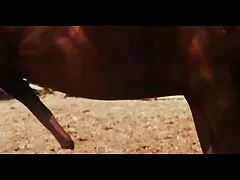 女の子は楽しいです イケメン エッチ 動画